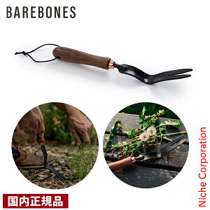 xA{[Y _fI EF[fBOtH[N 20232023000000 K[fjO |  ڏi