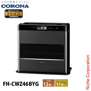 Ri Ζt@q[^[ 12p WZV[Y FH-CWZ46BYG g[ t@q[^[ { 3Nۏ