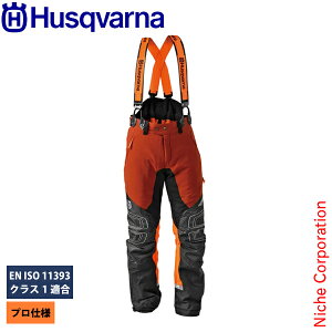 nXNo[i veNeBuY{ T-EX 5376432 ی hpi S یpc `F\[ `F[\[ Y{ {gX pc