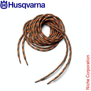 nXNo[i u[cpЂ 579301001 ی hpi S CR