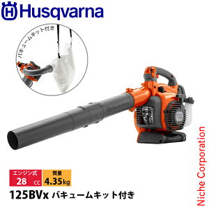 nXNo[i u 125BVx oL[Lbgt 952715674 Vi ^] nғmF nfBu u[ uA[ uA t | Wo W