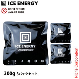 アイスエナジー 保冷剤 アルミソフトケース 300g -10℃ 3パックセット 保冷材 アウトドア 保冷 キャンプ BBQ バーベキュー クーラーボックス用 クーラーバッグ用 レジャー スポーツ