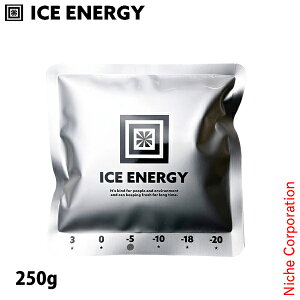 ACXGiW[ EFApA~\tgP[X Vo[ 250g IEASW-S5-250 AEghA ۗ pxXg N[xXg vtBbgxXg ڏi