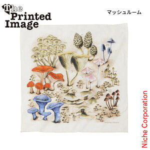 U vebh C[W lC`[vgo_i 11180001 AEghA EFA ANZT[ ڏi o_i  IV