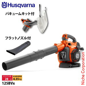 �n�X�N�o�[�i �u���� 125BVx �t���b�g�m�Y���t�� �o�L���[���L�b�g�t�� 952715645 �V�i ���^�]�� �n���ғ��m�F�� �n���f�B�u���� �u�����[ �u���A�[ �u���A �����t �|�� �W�o �W���� nocu �G���W��