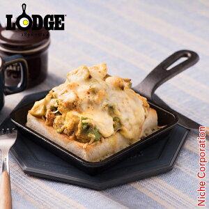 bW WbN XNGA XLbg L5WS3 LODGE LOGIC SKILLET PANS Lvpi