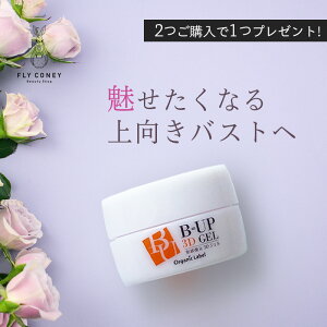 バストアップ クリームの人気商品 通販 価格比較 価格 Com バストアップ クリームの人気商品 通販 価格比較 価格 Com