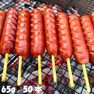 tNtgt(65g) 50{ (ꕔn) ܂t t \[Z[W o[xL[ BBQ Lv z[p[eB p[eB w  oU[ q  Ղ Cx