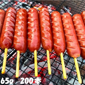 tNtgt(65g) 200{ (ꕔn) ܂t t \[Z[W o[xL[ BBQ Lv z[p[eB p[eB w  oU[ q  Ղ Cx