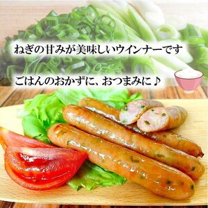 K (˂) ECi[ 10pbNZbg ܂ ܂ v[g Lv o[xL[ Mtg 蕨  ؓ ⓀHi ٓ Ă ȒP ē \[Z[W |Cg H꒼