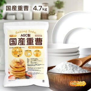 AGC d 4.7kg HiY Yd E|EEELɁɗDlɂQ TTŎg₷ GR ECO NICHIGA(j`K) TK1