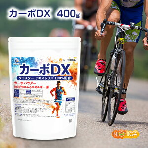 J[{DX 400g NX^[ fLXg GlM[ X|[cNICHIGA(j`K) [02]