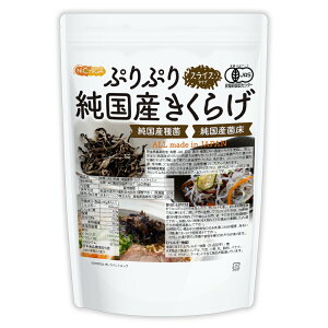 ՂՂ L@JAS  Y炰 XCX 300g y(ꏜ)z S_͔| Y Yۏ NICHIGA(j`K) TK0