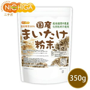 Y܂ 350g y()z ͔|Ԓ_Ew엿sgp kCY100 [02] NICHIGA(j`K)