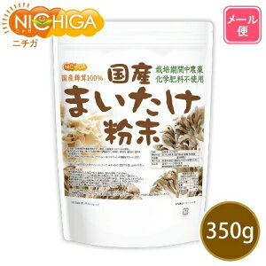 Y܂ 350g yzy[ւŗXփ|Xgɂ͂zyszyԎwsz ͔|Ԓ_Ew엿sgp kCY100 [05] NICHIGA(j`K)
