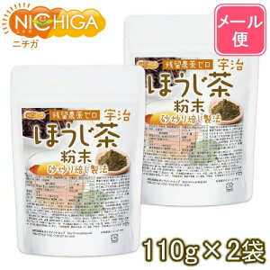 Fق 110g×2 yzy[ւŗXփ|Xgɂ͂zyszyԎwsz c_[ u@ [05] NICHIGA(j`K)