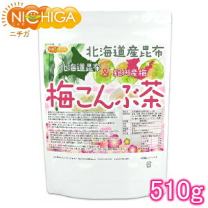 kCYz IBY~ ~Ԓ 510g [02] NICHIGA(j`K)