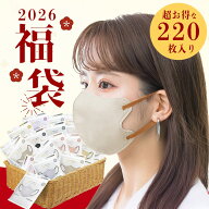 【大容量220枚福袋】 福袋 2026 福袋・初売り特集2026 HAPPY福袋 3Dマスク カラーアソート 【通常3Dタイ…