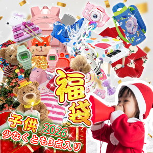 yʌEҏIz 2026N  LbYyVtE摜5_l݁z HAPPY BAG LbY ̎q j̎qI nbs[obO j̎q ̎q LbY  킢ACe Zy