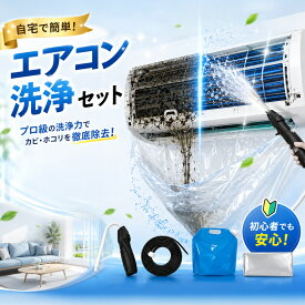 【新店OPEN価格】エアコン クリーニング エアコン掃除 道具 エアコン 高圧 スプレー 掃除 大掃除 徹底洗浄 内部洗浄 カビ対策 悪臭 消臭 お手入れ 洗浄剤 水洗い 送風ファン アルミフィン 洗浄 汚れ 除去 自宅メンテナンス 手間いらず 清潔 空気改善 引越し前 大掃除グッズ