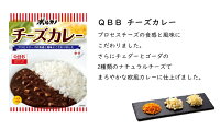 カレー詰合せ送料無料ご当地カレーギフト【ボルカノカレー詰合せ(3種類・11食入)】税込3,240円以上で送料無料