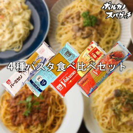 【4種パスタ食べ比べセット】 ボルカノパスタ 食べ比べ セット / 国産 もちもち 太麺 パスタ あんかけパスタ チェント 1.6mm あんかけスパゲッティ 乾麺 スパゲッティ 2.2mm パスタ麺 太麺スパゲッティ
