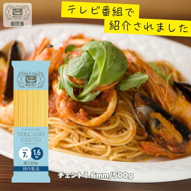 【期間限定! 12/11まで10%OFF】 ボルカノチェント 1.6mm 500g 家庭用 パスタ / 国産 本格 デュラム小麦 デュラムセモリナ セモリナ粉 1.6 スパゲッティ スパゲティ スパゲッティー スパゲティー 乾麺