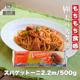 【期間限定! 12/11まで10%OFF】 スパゲットーニ 2.2mm 500g 家庭用 パスタ / 国産 もちもち 太麺 あんかけスパ あんかけパスタ ナポリタン 2.2 スパゲッティ スパゲティ スパゲッティー スパゲティー 乾麺 太麺スパゲッティ