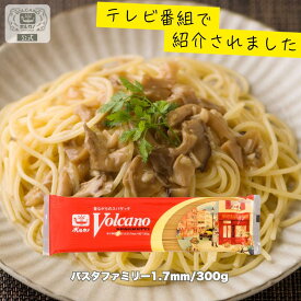 【期間限定! 12/11まで10%OFF】 パスタファミリー 1.7mm 300g 家庭用 パスタ / 国産 もちもち ナポリタン あんかけスパ あんかけパスタ 1.7 スパゲッティ スパゲティ スパゲッティー スパゲティー 乾麺