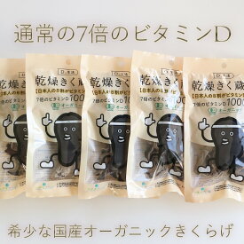 【 乾燥きく蔵 / 14g 5袋セット 】 ご飯のお供 きくらげ 卵 炒め おつまみ 国産 きくらげ 乾燥 販売 ビタミンd 多く含まれる 食材 食べ物 フリーズドライ 乾燥 カット 野菜 きのこ 国産 中華丼の具 中華丼 中華 食材 乾燥野菜 国産 炊き込みご飯 具材 オーガニック 乾物