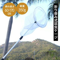 虫取り網 網のみ 伸縮式 直径約38cm 長さ60～132cm 柄が伸びる 昆虫採集 水陸両用 大きめ 網 伸縮 軽量 …