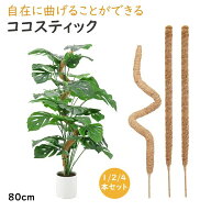 スティッ ココナッツ ココ 支え棒 伸びる 支柱 サポート フラワー ヘゴ 花 ガーデニング 観葉植物 園芸支…