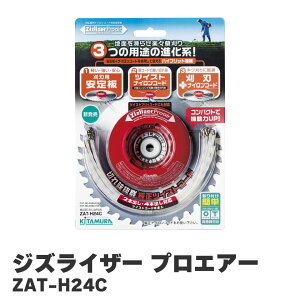 k쏊 KITAMURA WYCU[ vGA[ Zizlizer @  ZAT-H24C p `bv\[ iCR[h  R  c H킫 {