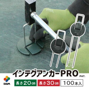 hV[g s s  vdl V[g V[g GV[g h  G} G΍ c    tbg^Cv 炭炭 20cm 30cm 100{ 300{