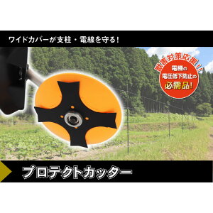 veNgJb^[ Oz  G dC C[bV ChJo[ @ @ A^b`g y 0838 {