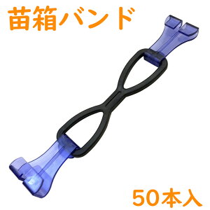 �P�[�G�X���� �c�� �o���h 50�{�� 250��