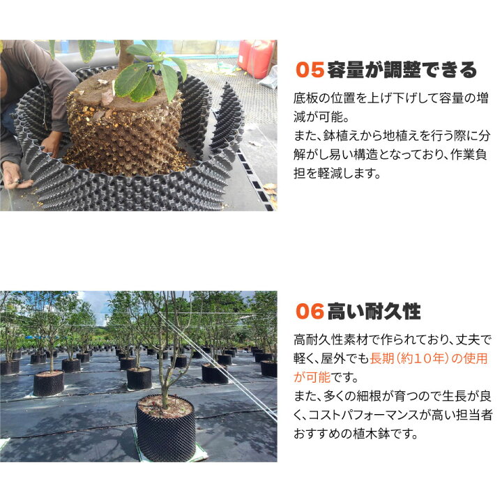 楽天市場】RootPlus ルートプラスポット ガーデニング 植木鉢 植物 