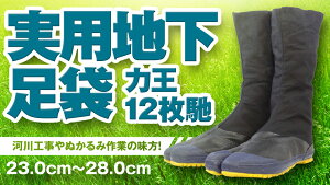 ͉ pn 12y  n y | _ 12y 23.0cm~28cm
