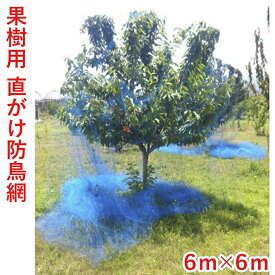 日本マタイ 防鳥網 直がけ 果樹用 6m×6m ブルーベリー サクランボ リンゴ 20mm目