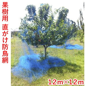 {}^C h  ʎp 12m×12m u[x[ TN{ S 20mm