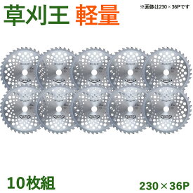 【10枚組】 草刈王 軽量タイプ チップソー バクマ工業 BAKUMA 230×36P 外径230mm 36枚刃 草刈り 草刈機 刈払機 炭素鋼 V型埋込 中心刃 雑草 JISマーク