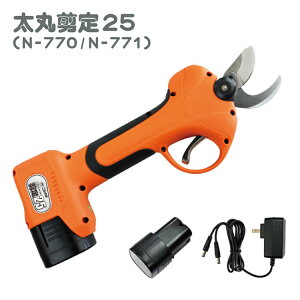 ۙ25 jVKLH  }   d  ؒf nfB [^[ R[hX N-770 N-771 [d obe[ 