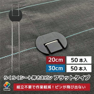 hV[g s s V[g V[g GV[g h  G} G΍ c    tbg^Cv 炭炭 20cm 30cm 50{