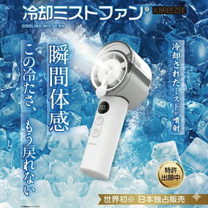 X.BREEZEE ��p�~�X�g�t�@�� �n���f�B -10�� HDL-4677 ������ �₽�� �M���Ǒ΍� �����΍� �u����p ��p�~�X�g �~�X�g���� USB���d COOL �� �u�ԑ̊� 100�i�K���� �p���t������ Type-C 30ml ��������