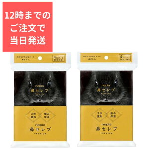 y݌ɏz y2Zbgz@Zu |PbgeBbV v~A 24(8g)