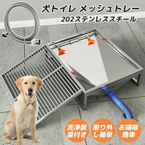 gC ybggC pgC XeX g[jOgC gC֊  bVg[ g[ 202XeXX`[