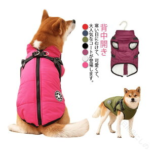 wJ ^Ngbv n[lXt pEGA  xXg WPbg H~pAE^[ N gWbp[ _ER[g yʖh 125-127cmΉ