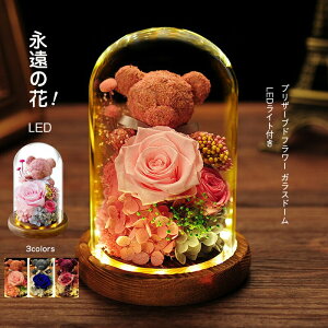 ̓ v[g vU[uht[ hCt[ o v[g KXh[ LEDCgt KN t[Mtg Mtg{bNX 񂰑 bZ[WJ[h ỉ Mtg 