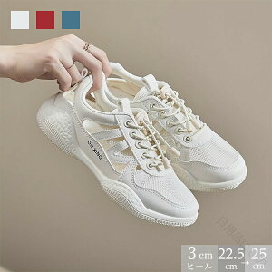 bVXj[J[ fB[X T_Xj[J[ i  JWA X^CbV Vv R[f f[g ʊw s AEghA ʋ A ItBX NbV tb