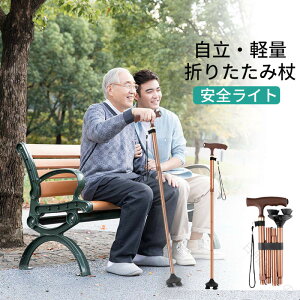  XebL  LEDCgt jp p ܂肽 Lk ~ RpNg y ߉\  ґΉ 5iK@\t S݌vŎg₷